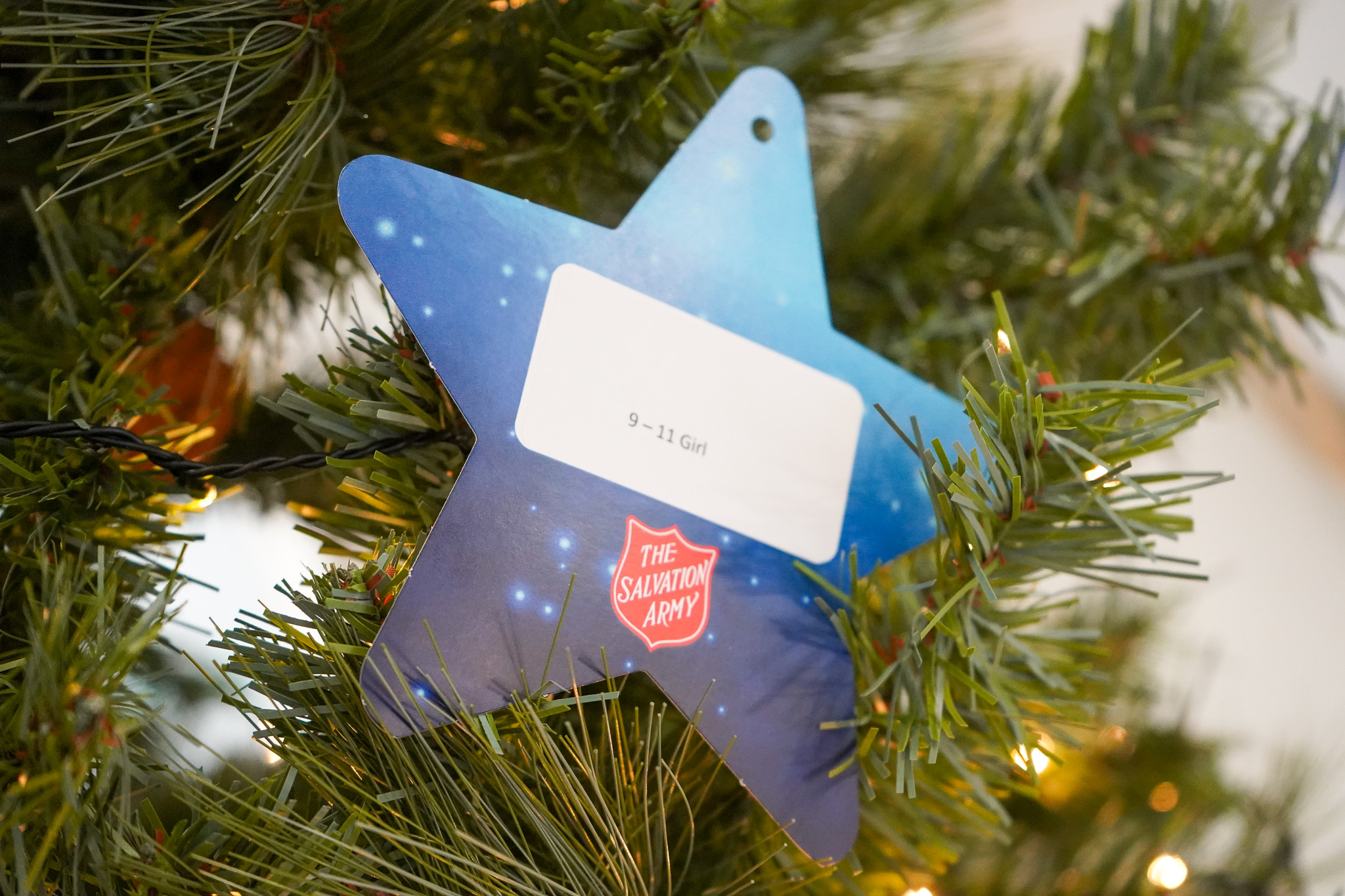 Beacon home of Salvation Army Christmas Appeal Tree